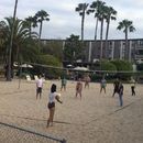 Beach Volleyball & BBQ's picture