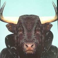 Niko Loss Pitol的照片