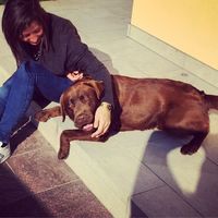 Photos de Sabrina Biasium