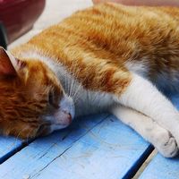 Crystal Chan的照片