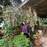 Akriti Mishra's Photo