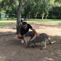 Omar Mansour's Photo