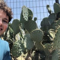 Gary McKeown的照片