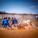 Siravayal manjuvirattu 2026's picture