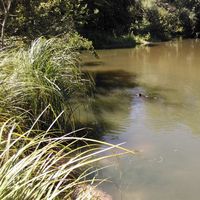 Le foto di Ahmed Shoaeb