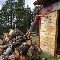 Merle Haferkorn's Photo