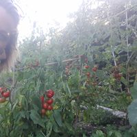 Fotos de sonja sarton