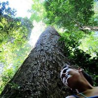 Marcela Ribeiro的照片