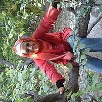 Fatemeh Samsami's Photo