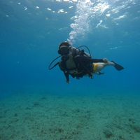 Ambar Valdivieso's Photo