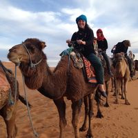 Fotos von Carly Bacha