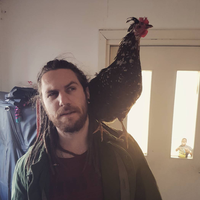 Fotos de Nils Svelander