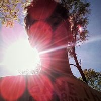 maarten rosier的照片