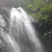 Фотографии пользователя DANIELA GOME