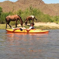 Mutien Marchandise's Photo