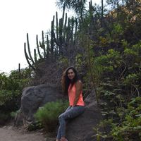 Fotos von Venera Solnce