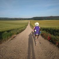 Anna Bendini Mainardi的照片