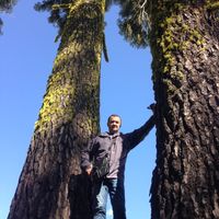 Vadim Chepiga的照片