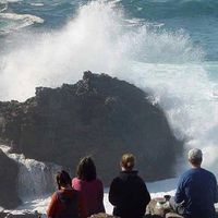 Ronald Vautour's Photo