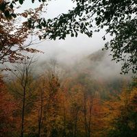 Farzad Eslami's Photo