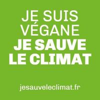 Amélie Serenne's Photo