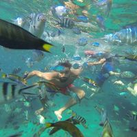 Chaker Ameur's Photo