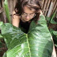 Photos de Michele Schwendler