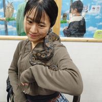Kana Y's Photo