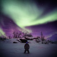 denis manteau的照片