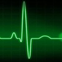 Fotos de Silvia Barontini