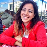 Anil Merve Ay的照片