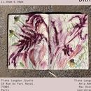 See.Move.Draw By Tiana Langdon's picture