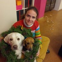 Fotos von Joana Espiñal