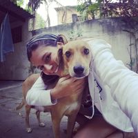 rafaela vettoraci abukater valle的照片