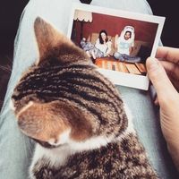 Fotos de Milan Knapec