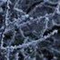 Fotos de Marek Zahradník