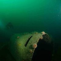 Callan Harvey的照片