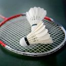Weekly Badminton's picture