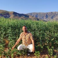 Hicham Hassan's Photo