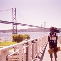 Aphélandra Siassia's Photo