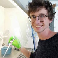 Фотографии пользователя Dennis He