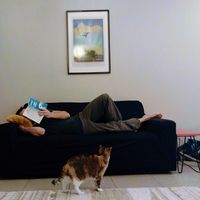 BEGLES KITCHEN's Photo