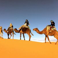 Фотографии пользователя desert camps mostapha dunes sahara