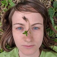 Irina Ivanova的照片