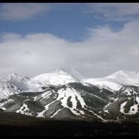 Shawn Friedman的照片