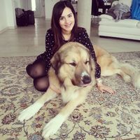 Donja Tajik的照片