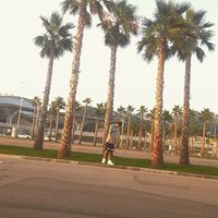 Artem Defend的照片