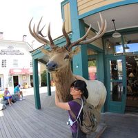 Photos de Yu Shan Hong