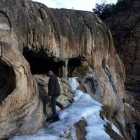 Jared Collier's Photo