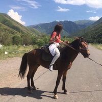 Sunkar Duisenbi的照片